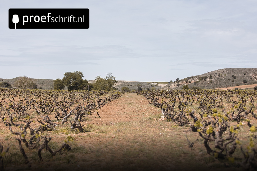 La Hormiga uit Ribera del Duero: Rode Wijn van het Jaar 2025!