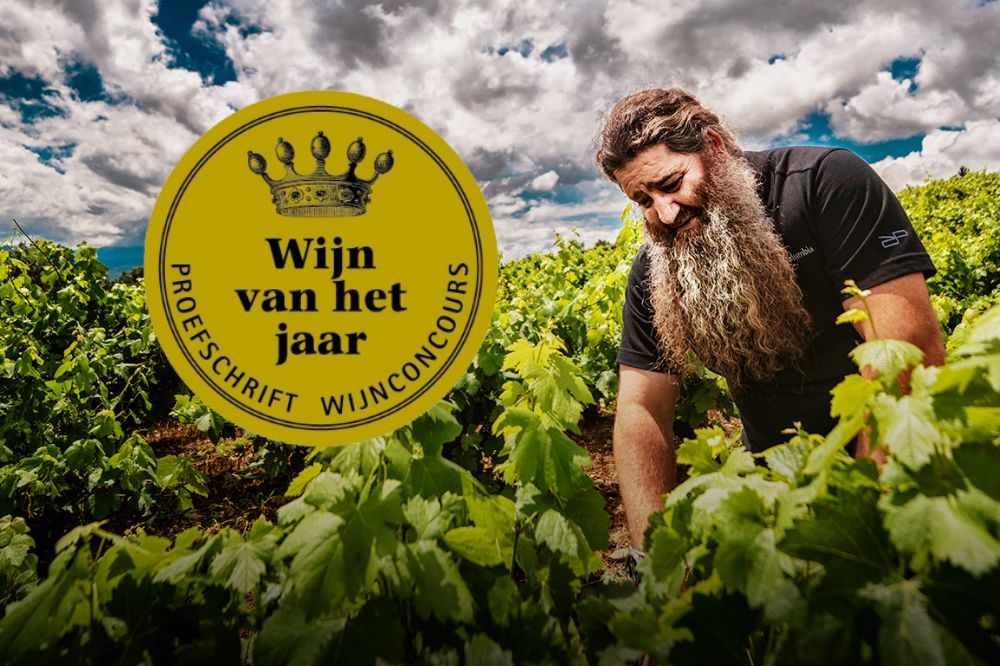 Winnaar bij het 36e Proefschrift Wijnconcours